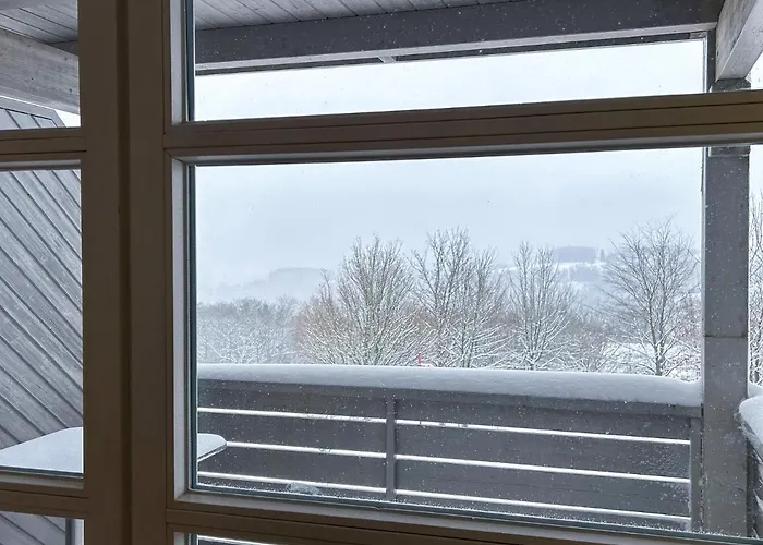 Apartment Uplandparcs Bergresidence Winterberg